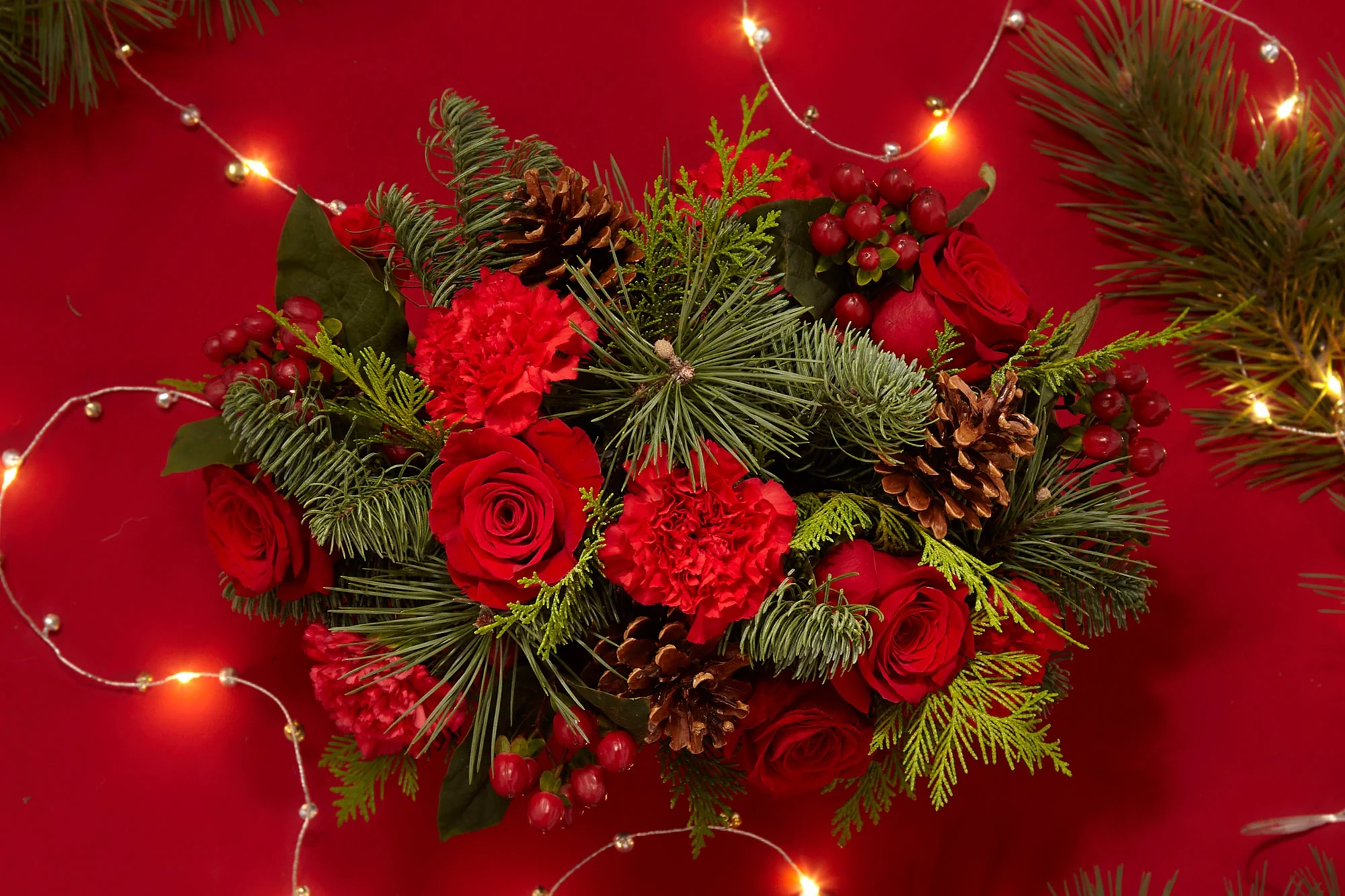 Christmas Flowers