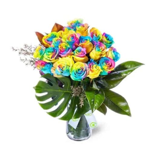 Rainbow roses